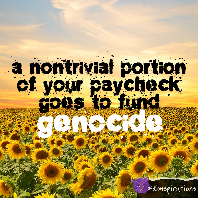 A non-trivial portion of your paycheck goes to fund genocide.