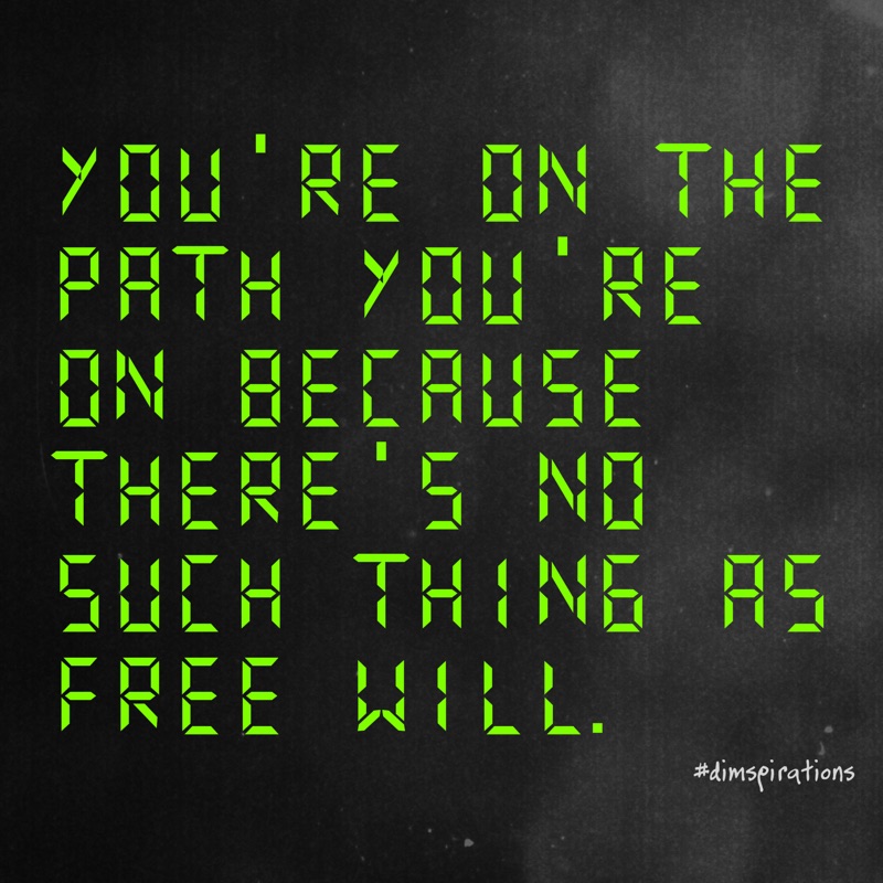 You're on the path you're on because there's no such thing as free will