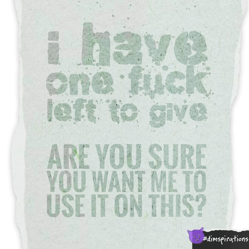 i have one fuck left to give ARE YOU SURE YOU WANT ME TO USE IT ON THIS?