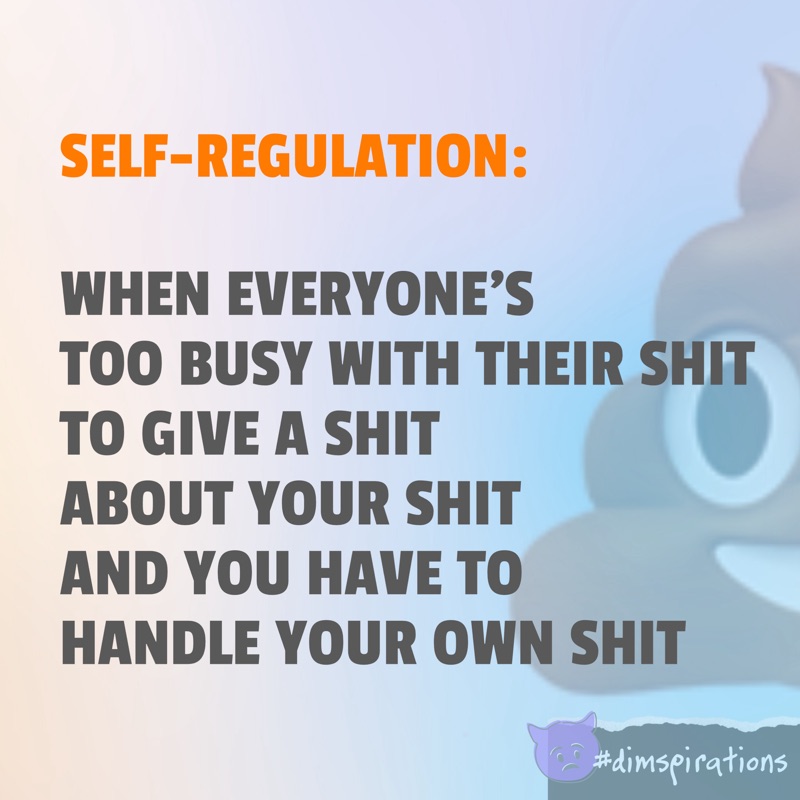 Self regulation - when everybody is too busy with their shit to help you with your shit and you have to deal with your own shit.