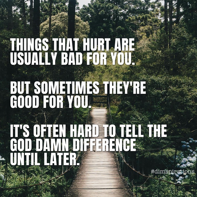 THINGS THAT HURT ARE USUALLY BAD FOR YOU. BUT SOMETIMES THEY'RE GOOD FOR YOU. IT'S OFTEN HARD TO TELL THE GOD DAMN DIFFERENCE UNTIL LATER.