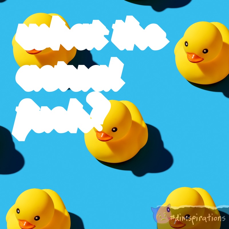 (Obscured text over duck wallpaper) What the actual fuck?
